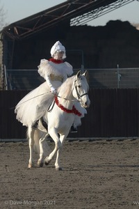 Collecting Ring Fancy Dress!